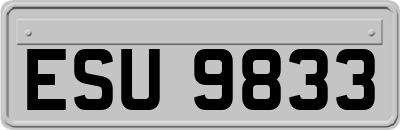 ESU9833