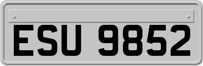 ESU9852