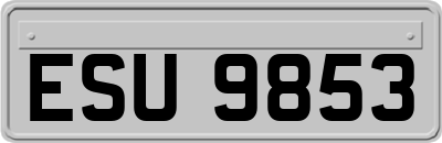 ESU9853
