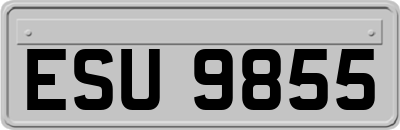 ESU9855