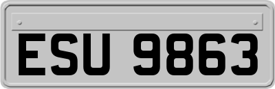 ESU9863