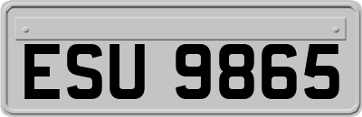 ESU9865
