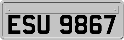 ESU9867