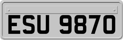 ESU9870