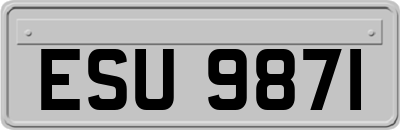 ESU9871