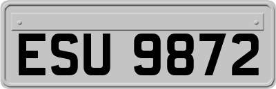 ESU9872