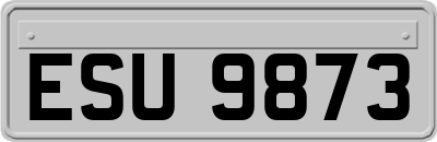 ESU9873