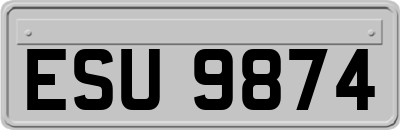 ESU9874