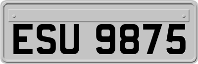 ESU9875