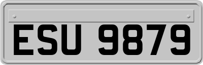ESU9879
