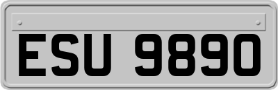 ESU9890