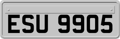 ESU9905