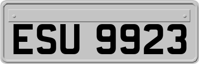 ESU9923