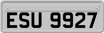 ESU9927