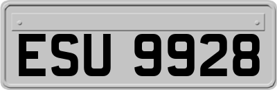 ESU9928