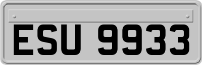 ESU9933