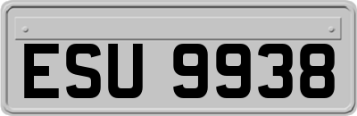 ESU9938