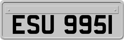 ESU9951