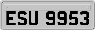 ESU9953