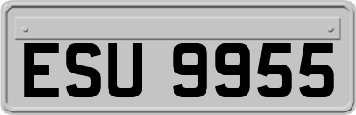 ESU9955