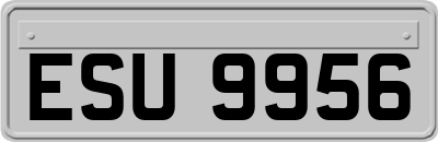 ESU9956