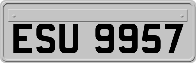 ESU9957