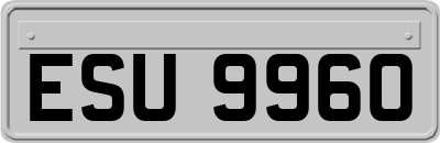 ESU9960