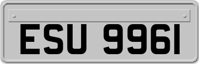 ESU9961
