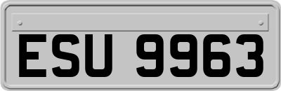 ESU9963