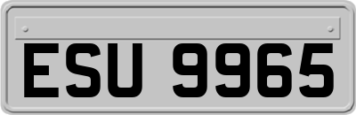 ESU9965