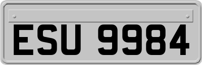 ESU9984