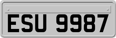 ESU9987