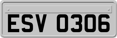 ESV0306