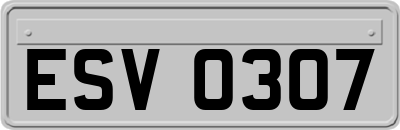 ESV0307
