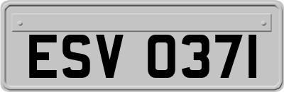 ESV0371