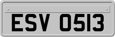 ESV0513