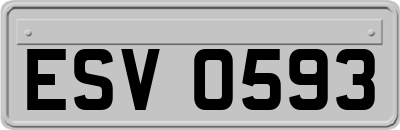 ESV0593
