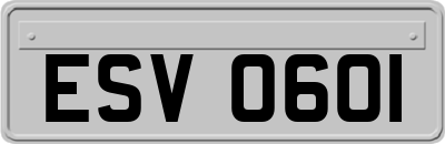 ESV0601