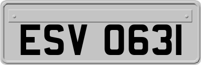 ESV0631