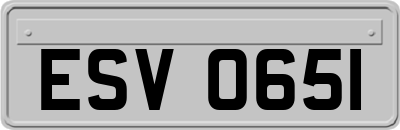 ESV0651