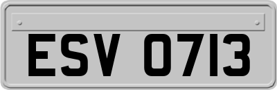 ESV0713