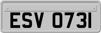 ESV0731