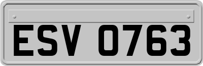ESV0763