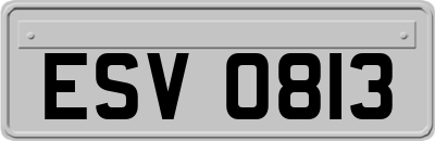 ESV0813