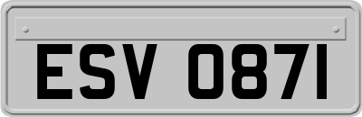 ESV0871