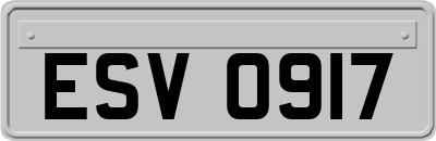 ESV0917