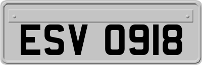 ESV0918