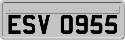 ESV0955