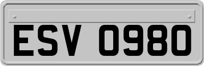 ESV0980