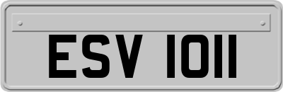 ESV1011